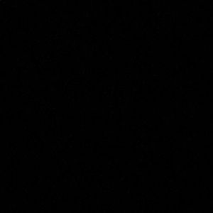 Meet your Posher, Reina